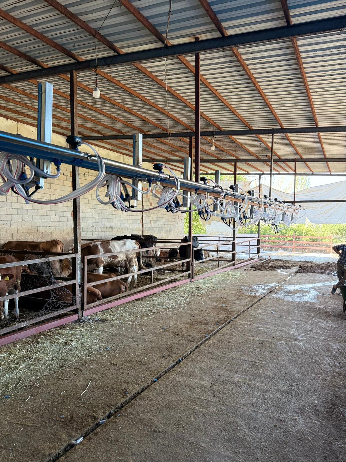 Süt Soğutma Tankı