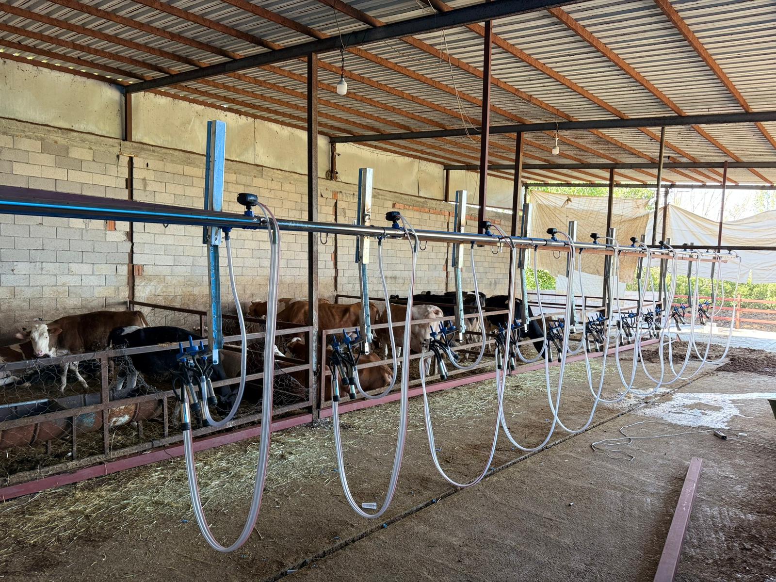 Süt Soğutma Tankı