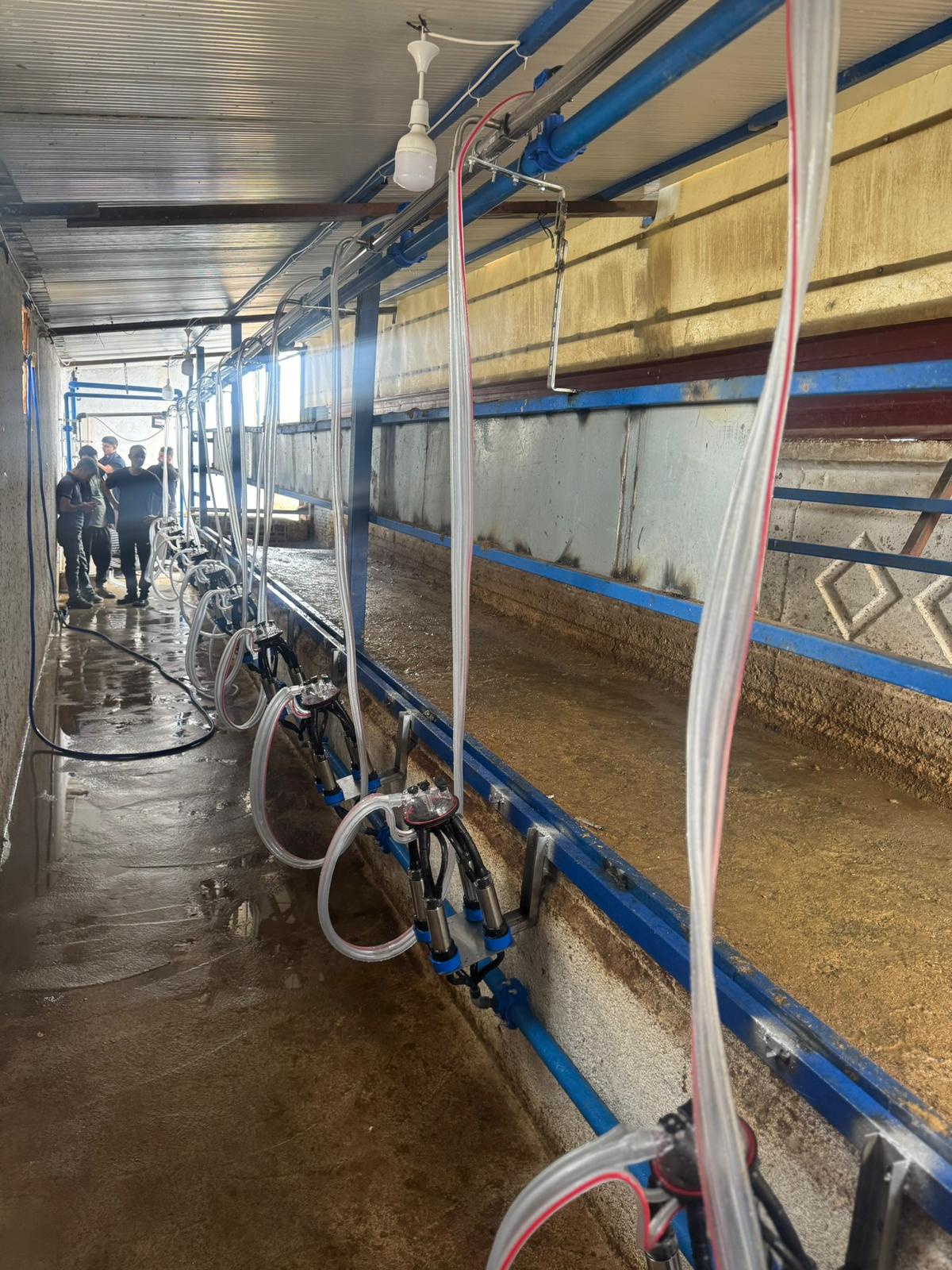 Süt Soğutma Tankı